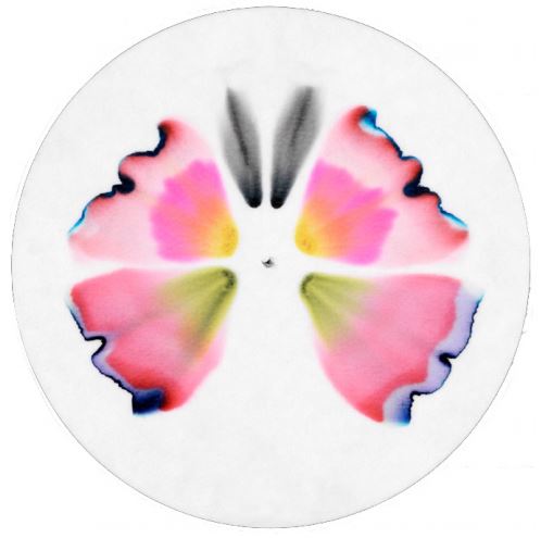 Genetic fingerprinting chromatogram